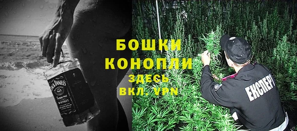 PSILOCYBIN Абаза