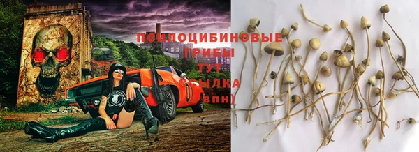MESCALINE Коряжма