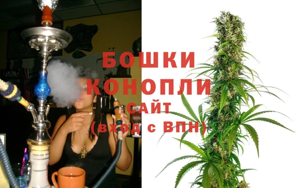 PSILOCYBIN Абаза