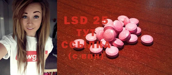 PSILOCYBIN Абаза
