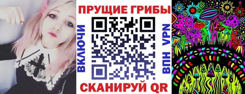 Псилоцибиновые грибы ЛСД ссылка на мегу вход Прокопьевск